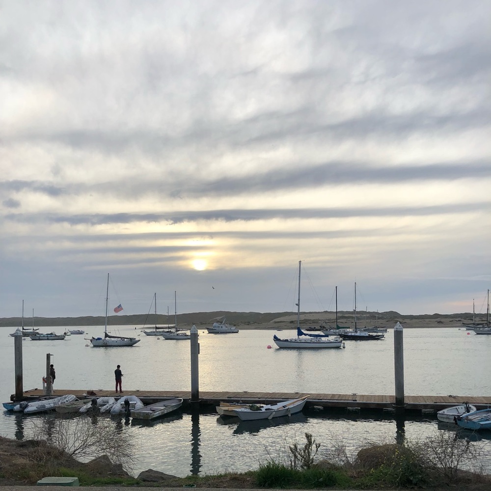 Meet your Posher, Noah